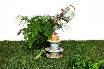 Enchanting Lightness: Le Jardin de Versace Now in Bloom at Hetvi Luxury