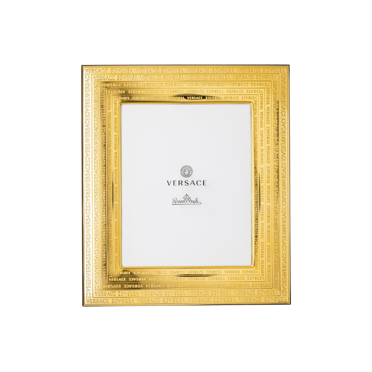 Versace Rosenthal Photo Frame VHF 11 Gold 20x25 cm